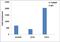 Histone Cluster 4 H4 antibody, 710809, Invitrogen Antibodies, Chromatin Immunoprecipitation image 