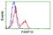 Poly(ADP-Ribose) Polymerase Family Member 16 antibody, TA500452, Origene, Flow Cytometry image 