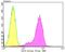 Interleukin Enhancer Binding Factor 3 antibody, NBP2-75540, Novus Biologicals, Flow Cytometry image 