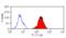 Lymphocyte Antigen 75 antibody, MCA4755, Bio-Rad (formerly AbD Serotec) , Western Blot image 