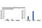 Nuclear Receptor Subfamily 3 Group C Member 1 antibody, 3660S, Cell Signaling Technology, Chromatin Immunoprecipitation image 