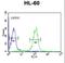 Granzyme B antibody, LS-C166750, Lifespan Biosciences, Flow Cytometry image 