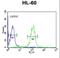 Granzyme B antibody, LS-C166750, Lifespan Biosciences, Flow Cytometry image 