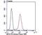 Replication Protein A1 antibody, NBP2-75648, Novus Biologicals, Flow Cytometry image 