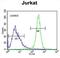 ETS Transcription Factor ELK4 antibody, abx025570, Abbexa, Flow Cytometry image 