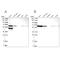 Endoplasmic Reticulum Oxidoreductase 1 Alpha antibody, NBP1-84800, Novus Biologicals, Western Blot image 