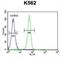 Pleckstrin Homology Domain Containing A4 antibody, abx026435, Abbexa, Western Blot image 