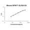 Serine Peptidase Inhibitor, Kunitz Type 1 antibody, EK0772, Boster Biological Technology, Enzyme Linked Immunosorbent Assay image 