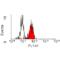 CD84 Molecule antibody, MCA2123, Bio-Rad (formerly AbD Serotec) , Immunoprecipitation image 