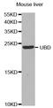 Ubiquitin D antibody, LS-C334091, Lifespan Biosciences, Western Blot image 