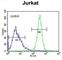 ETS Transcription Factor ELK4 antibody, abx025570, Abbexa, Western Blot image 