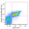 Signal Regulatory Protein Alpha antibody, 144017, BioLegend, Flow Cytometry image 