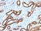 Cadherin 16 antibody, orb387910, Biorbyt, Immunohistochemistry paraffin image 