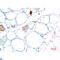 Transthyretin antibody, LS-C813257, Lifespan Biosciences, Immunohistochemistry paraffin image 