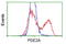 Phosphodiesterase 2A antibody, LS-C172594, Lifespan Biosciences, Flow Cytometry image 