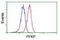 PFKP antibody, NBP2-01539, Novus Biologicals, Flow Cytometry image 