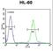 ELMO Domain Containing 2 antibody, LS-C167732, Lifespan Biosciences, Flow Cytometry image 