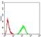 Lamin B2 antibody, NBP2-61818, Novus Biologicals, Flow Cytometry image 