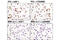 Forkhead Box O3 antibody, 12829S, Cell Signaling Technology, Immunohistochemistry paraffin image 
