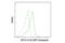 CD11C antibody, 36268S, Cell Signaling Technology, Flow Cytometry image 