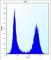 SREBF Chaperone antibody, abx026709, Abbexa, Western Blot image 