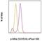 NFKB Inhibitor Alpha antibody, 50-9035-41, Invitrogen Antibodies, Flow Cytometry image 