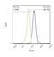 Spectrin Beta, Non-Erythrocytic 4 antibody, NBP2-44310, Novus Biologicals, Flow Cytometry image 