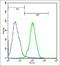 Microtubule Associated Protein 1B antibody, orb2882, Biorbyt, Flow Cytometry image 