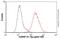 Heterogeneous Nuclear Ribonucleoprotein A1 antibody, ab5832, Abcam, Flow Cytometry image 