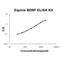Brain Derived Neurotrophic Factor antibody, EK0307-EQ, Boster Biological Technology, Enzyme Linked Immunosorbent Assay image 