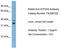 General Transcription Factor IIH Subunit 2 antibody, TA330122, Origene, Western Blot image 