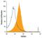 Tumor necrosis factor receptor superfamily member 26 antibody, MA5-24220, Invitrogen Antibodies, Flow Cytometry image 