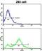 CD248 Molecule antibody, abx032973, Abbexa, Flow Cytometry image 