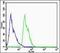 DnaJ Heat Shock Protein Family (Hsp40) Member C2 antibody, orb183162, Biorbyt, Flow Cytometry image 