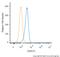 Teratocarcinoma-Derived Growth Factor 1 antibody, NB100-1597, Novus Biologicals, Flow Cytometry image 