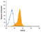 Signal Transducer And Activator Of Transcription 5B antibody, MAB1584, R&D Systems, Flow Cytometry image 