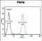 SIK Family Kinase 3 antibody, PA5-48231, Invitrogen Antibodies, Flow Cytometry image 