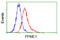 Protein Phosphatase Methylesterase 1 antibody, GTX83847, GeneTex, Flow Cytometry image 