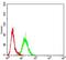 BCR Activator Of RhoGEF And GTPase antibody, NBP2-61707, Novus Biologicals, Flow Cytometry image 