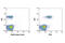 Protein Kinase C Theta antibody, 13643S, Cell Signaling Technology, Flow Cytometry image 