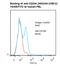 CD244 Molecule antibody, LS-C777385, Lifespan Biosciences, Flow Cytometry image 