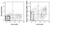 F4/80 antibody, GTX01470-02, GeneTex, Flow Cytometry image 