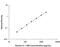 Interleukin 1 Receptor Type 2 antibody, DR1B00, R&D Systems, Enzyme Linked Immunosorbent Assay image 