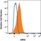 LIM Domain Only 2 antibody, AF2726, R&D Systems, Flow Cytometry image 