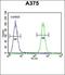 Nuclear Transport Factor 2 antibody, orb247772, Biorbyt, Flow Cytometry image 