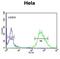 Chromosome 16 Open Reading Frame 54 antibody, abx032301, Abbexa, Flow Cytometry image 