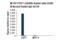 Transcription Factor 7 antibody, 2203T, Cell Signaling Technology, Chromatin Immunoprecipitation image 