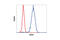 CD44 antibody, 5640S, Cell Signaling Technology, Flow Cytometry image 