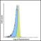 Lymphocyte Activating 3 antibody, RF16087, ProSci, Flow Cytometry image 