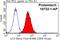 Microtubule Associated Protein 1 Light Chain 3 Alpha antibody, 18722-1-AP, Proteintech Group, Flow Cytometry image 